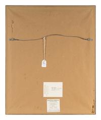 Field Museum, Andropogon, July 24, 1893 , 1999