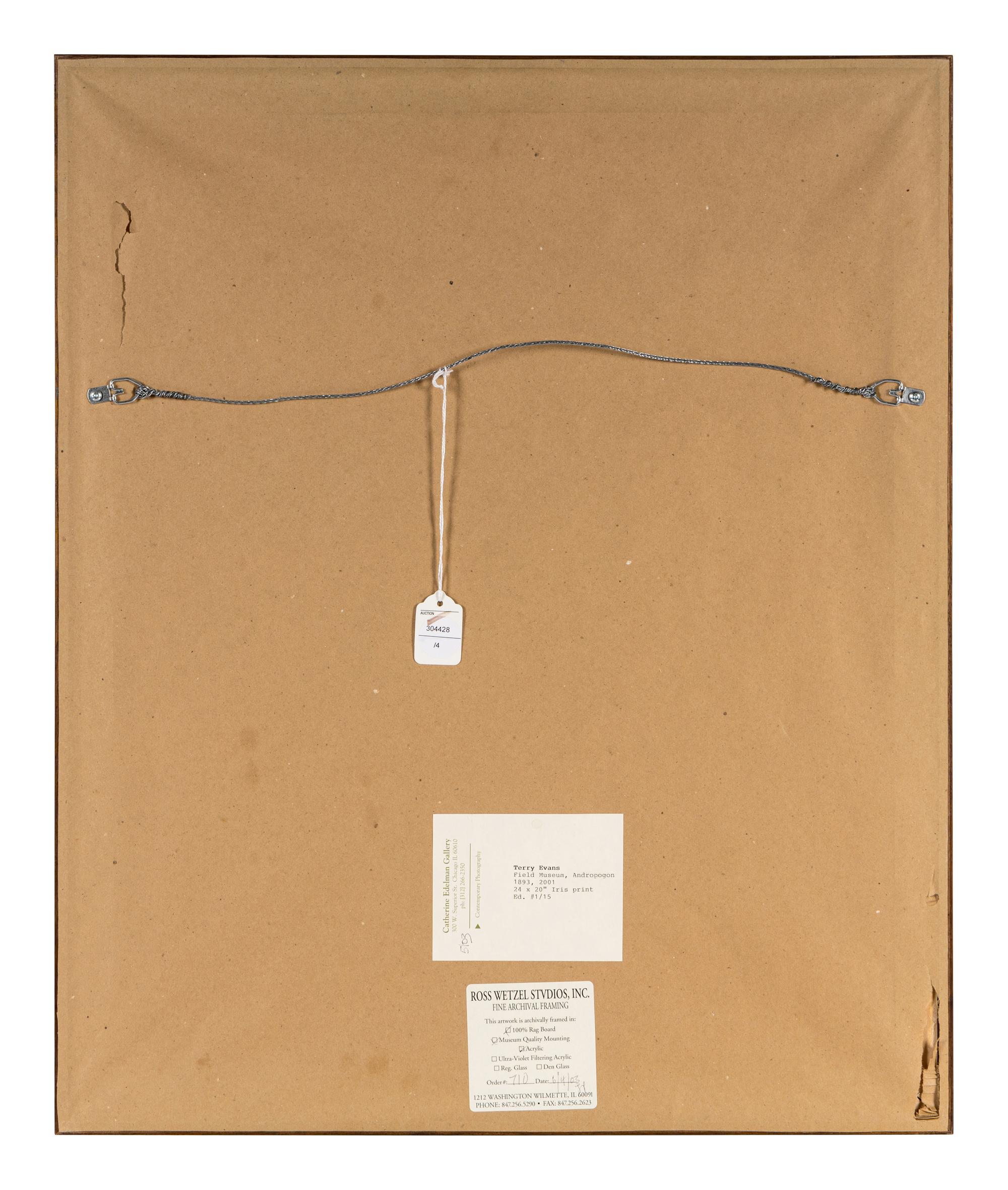 Field Museum, Andropogon, July 24, 1893 , 1999