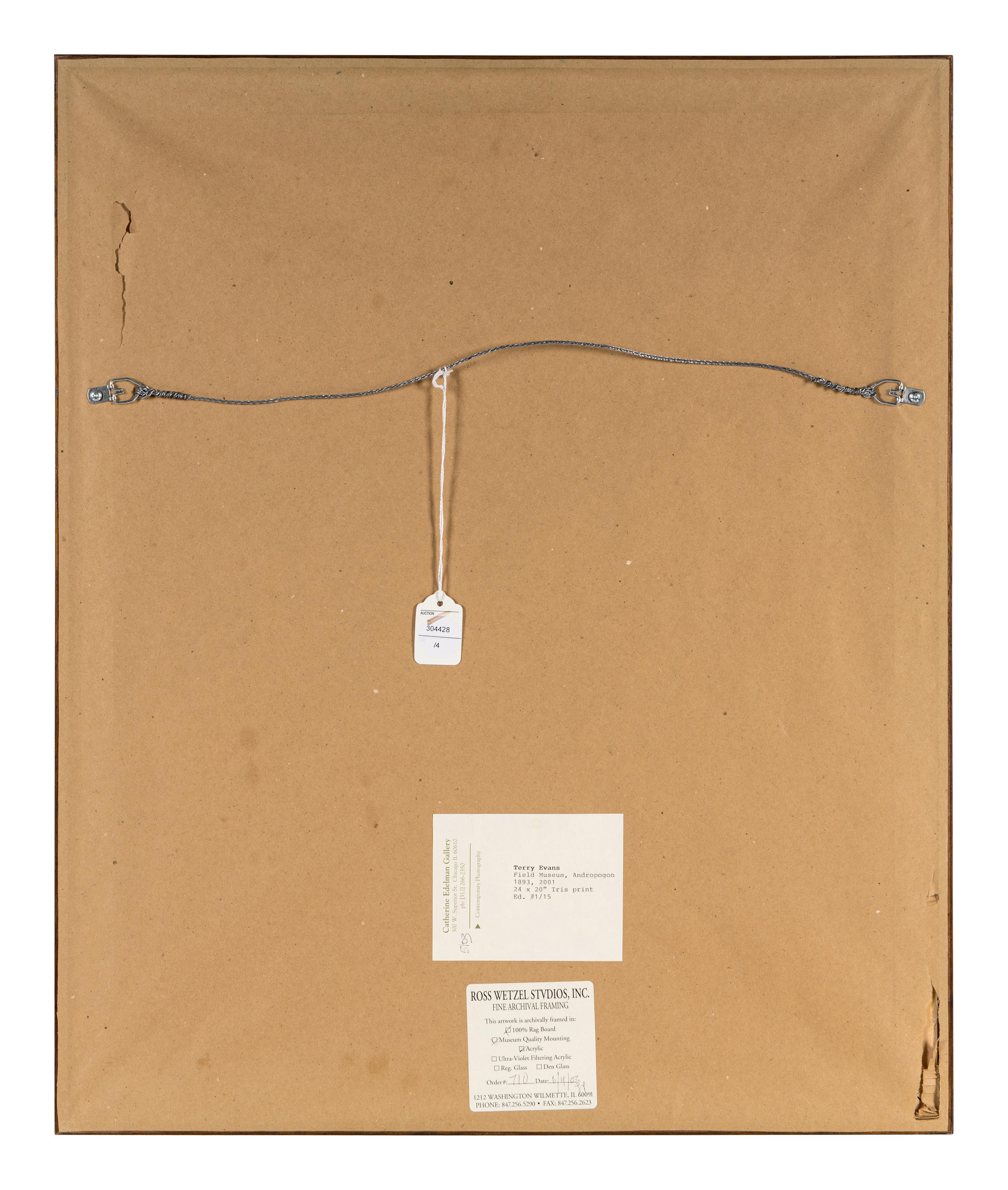 Field Museum, Andropogon, July 24, 1893 , 1999
