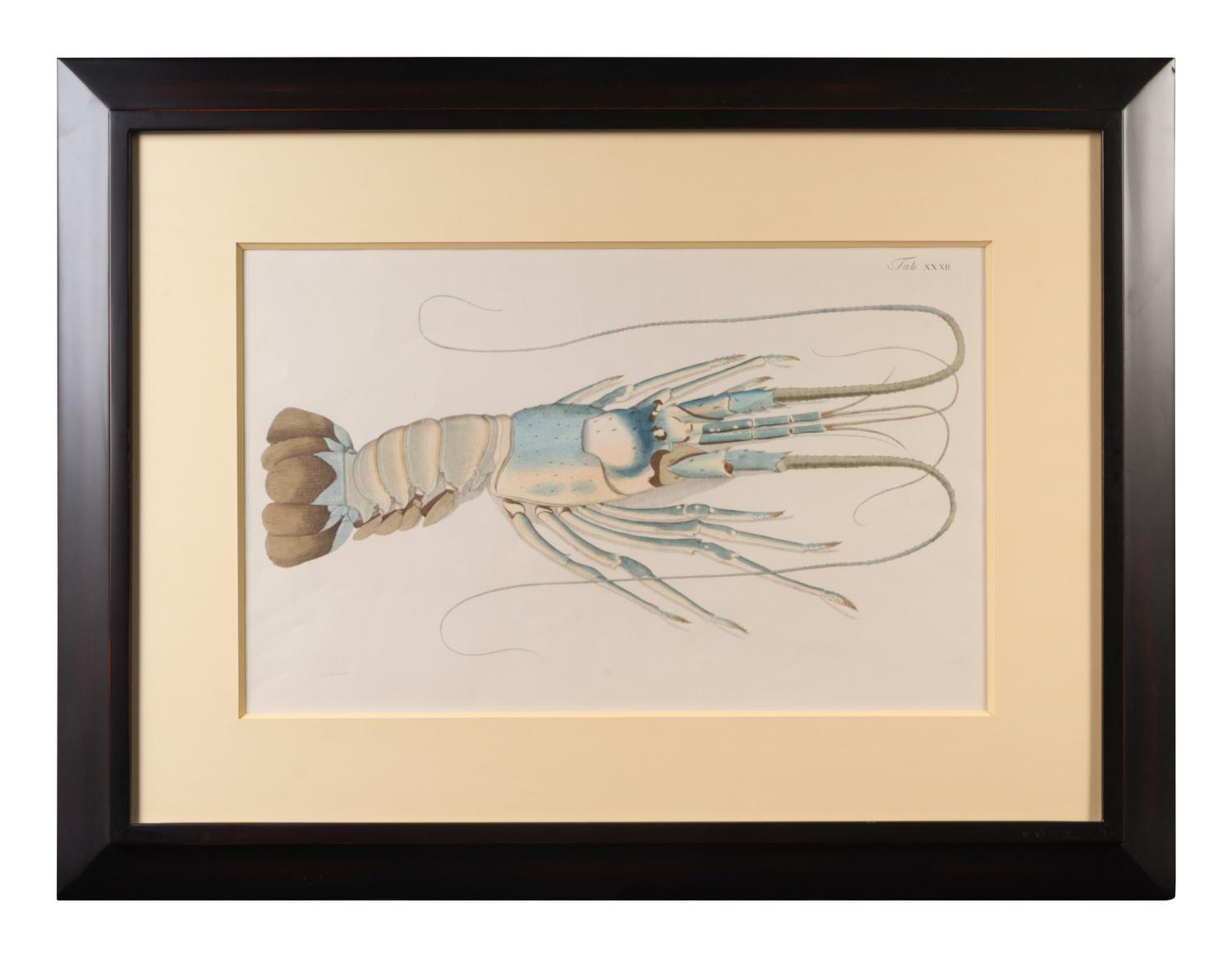 A Set of Three Framed Hand-Colored Lobster Engravings — AFTER F.D. HEIDENRICH, 20TH CENTURY
