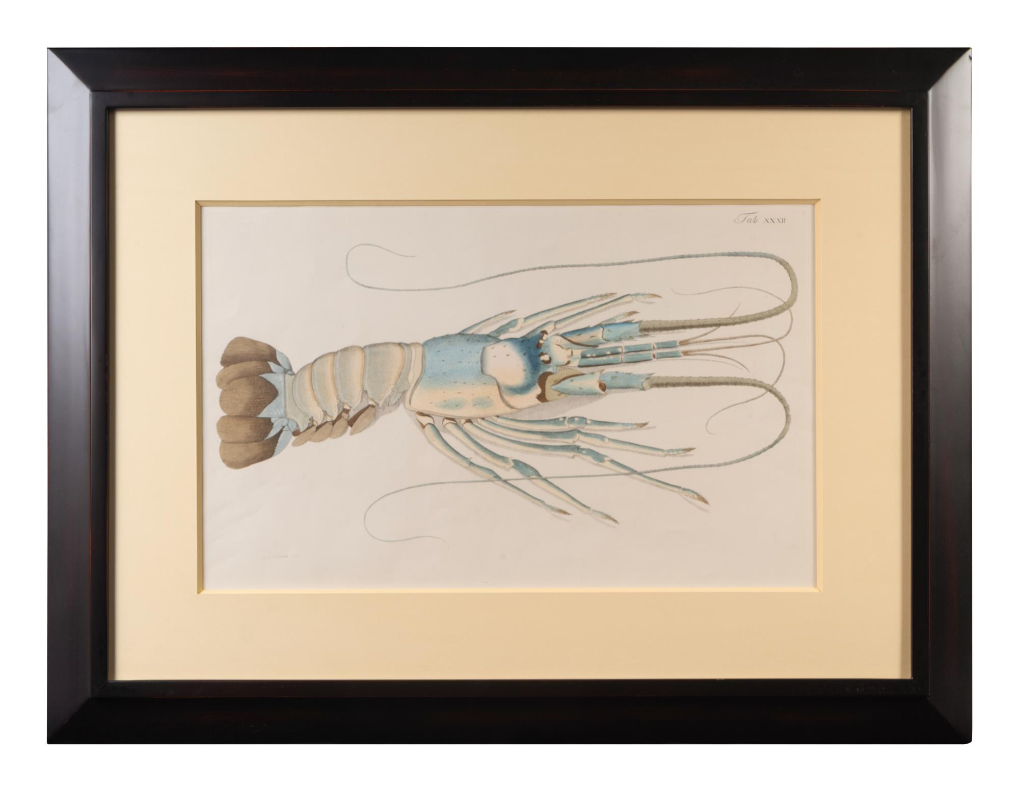 A Set of Three Framed Hand-Colored Lobster Engravings — AFTER F.D. HEIDENRICH, 20TH CENTURY