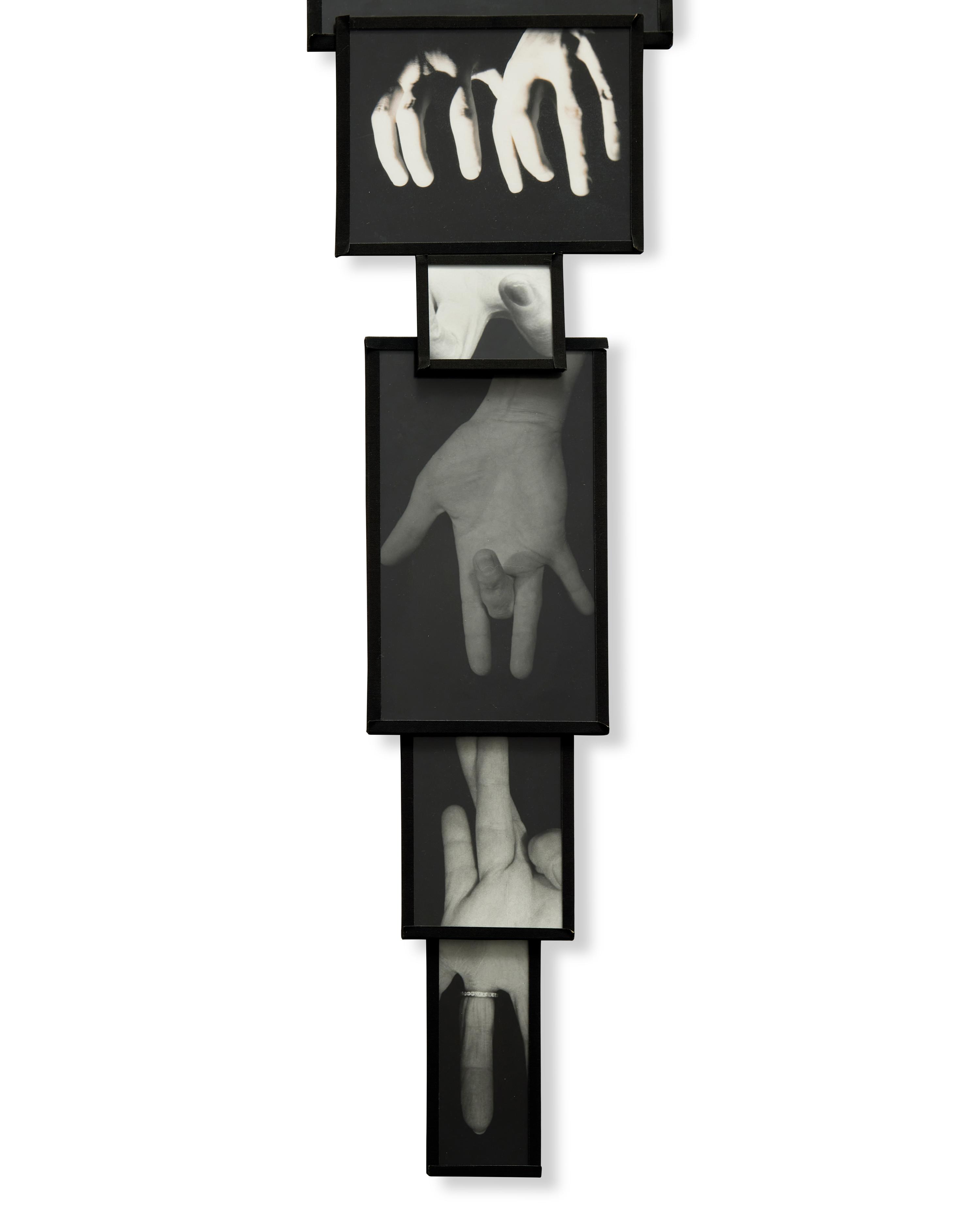 Mes Voeux (My Wishes), 1988