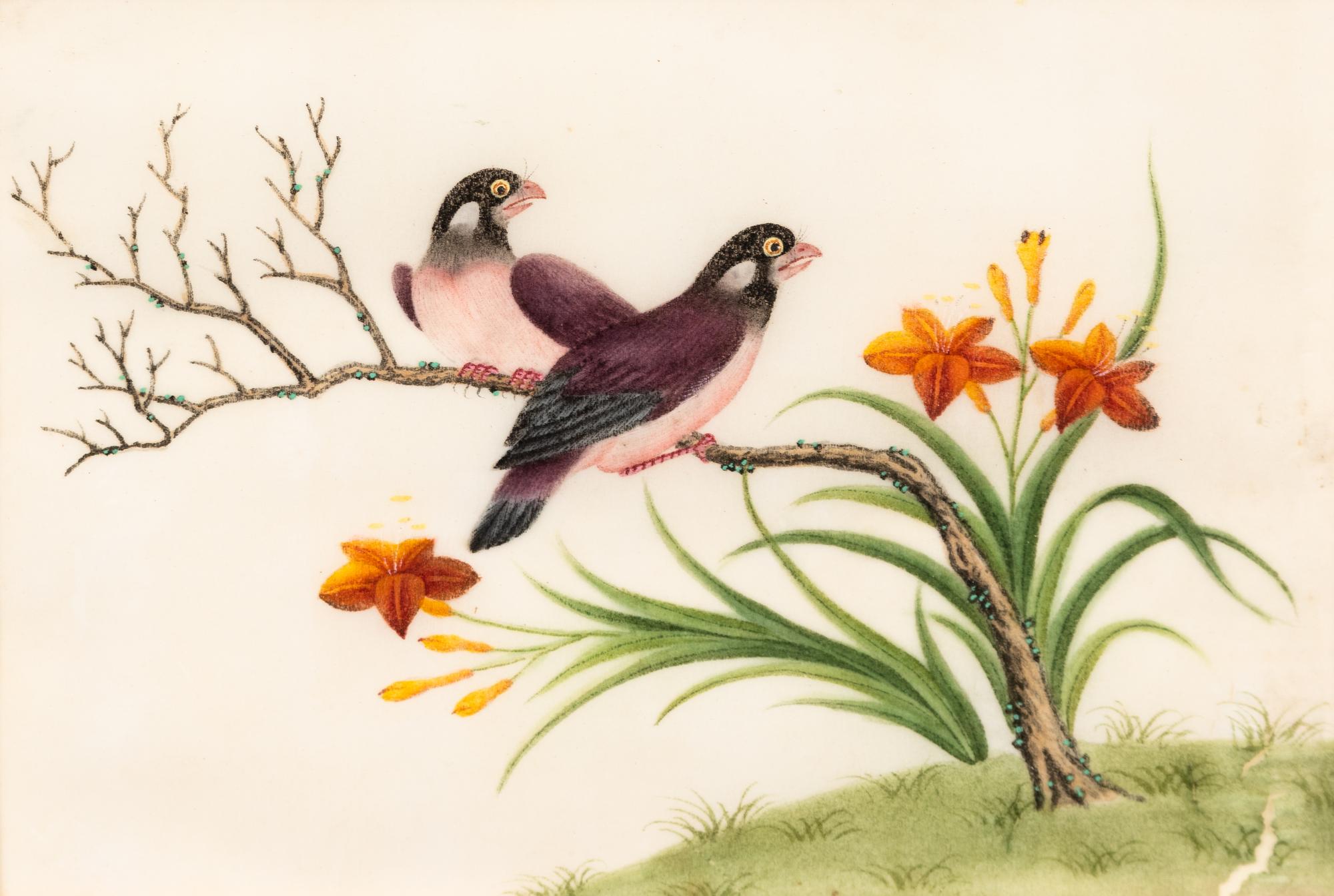 A Collection of Twelve Chinese Export Pith Paintings