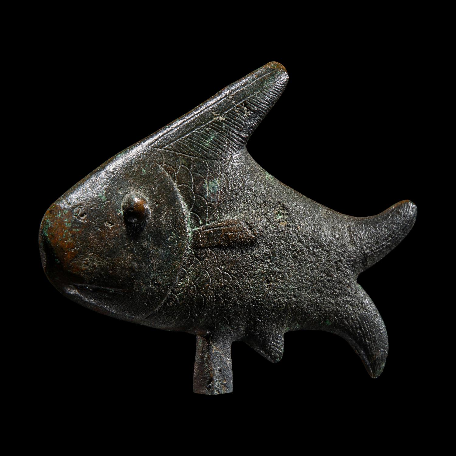 An Egyptian Bronze Oxyrhynchus Fish