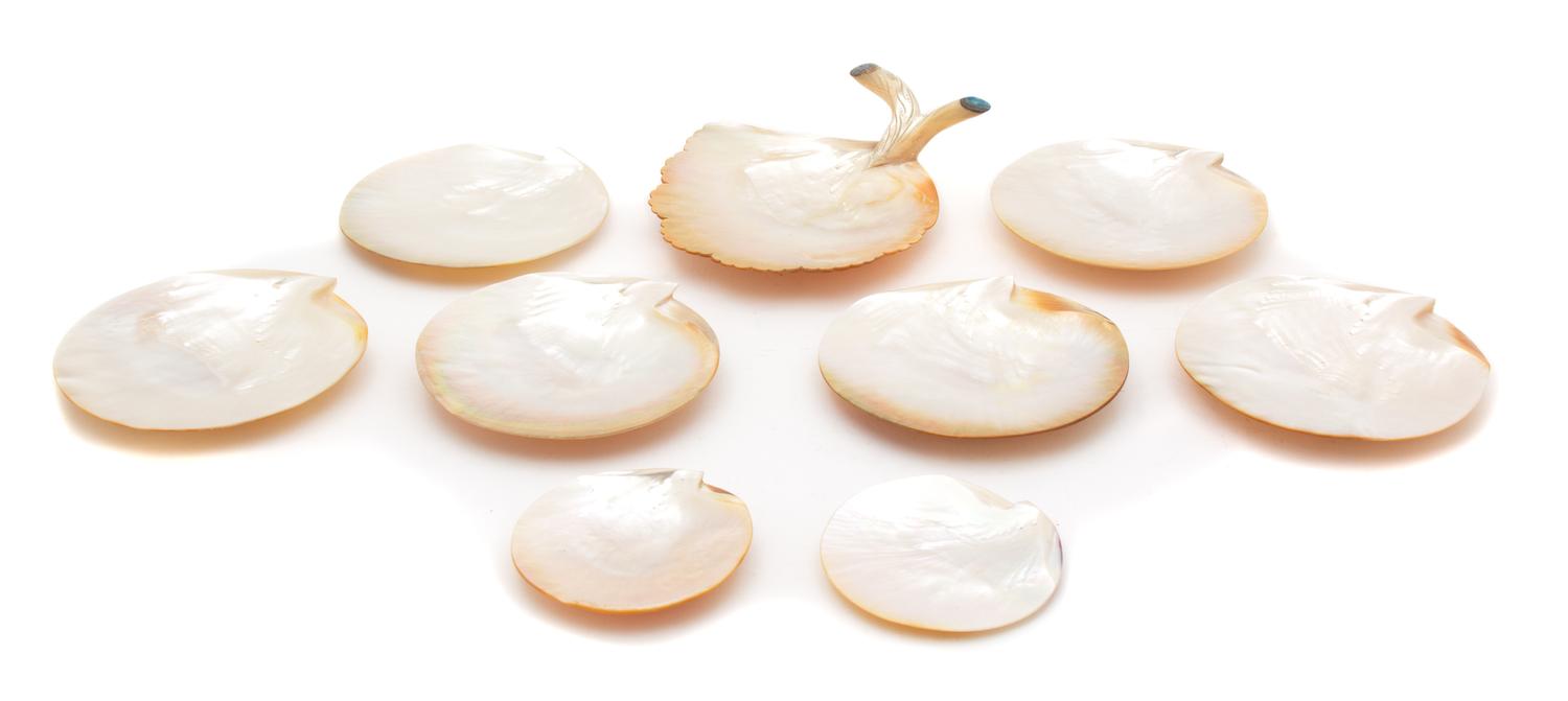 A Group of Nine Mother-of-Pearl Shell Plates Length of largest 8 1/2 inches. — 20TH CENTURY