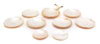 A Group of Nine Mother-of-Pearl Shell Plates Length of largest 8 1/2 inches. — 20TH CENTURY