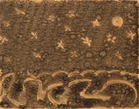 Stars, Moon and Sea
