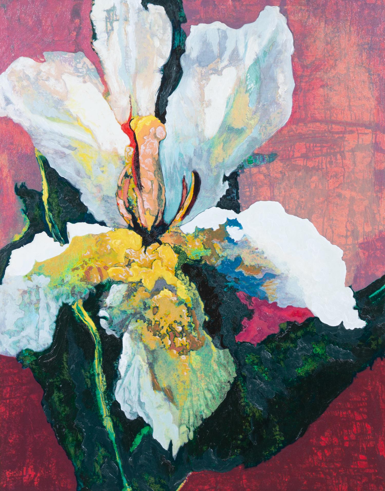 Patricia Nix, (American, b. 1938), Flower Study: Lily