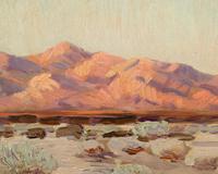 Evening on the Desert
