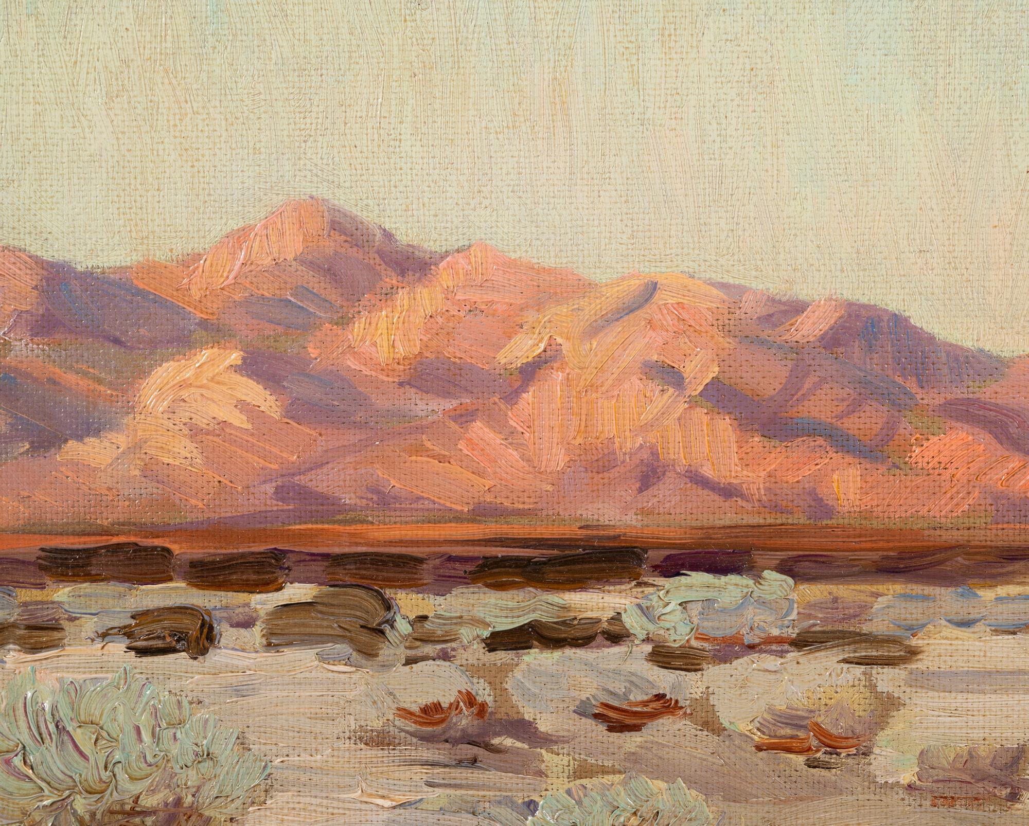 Evening on the Desert
