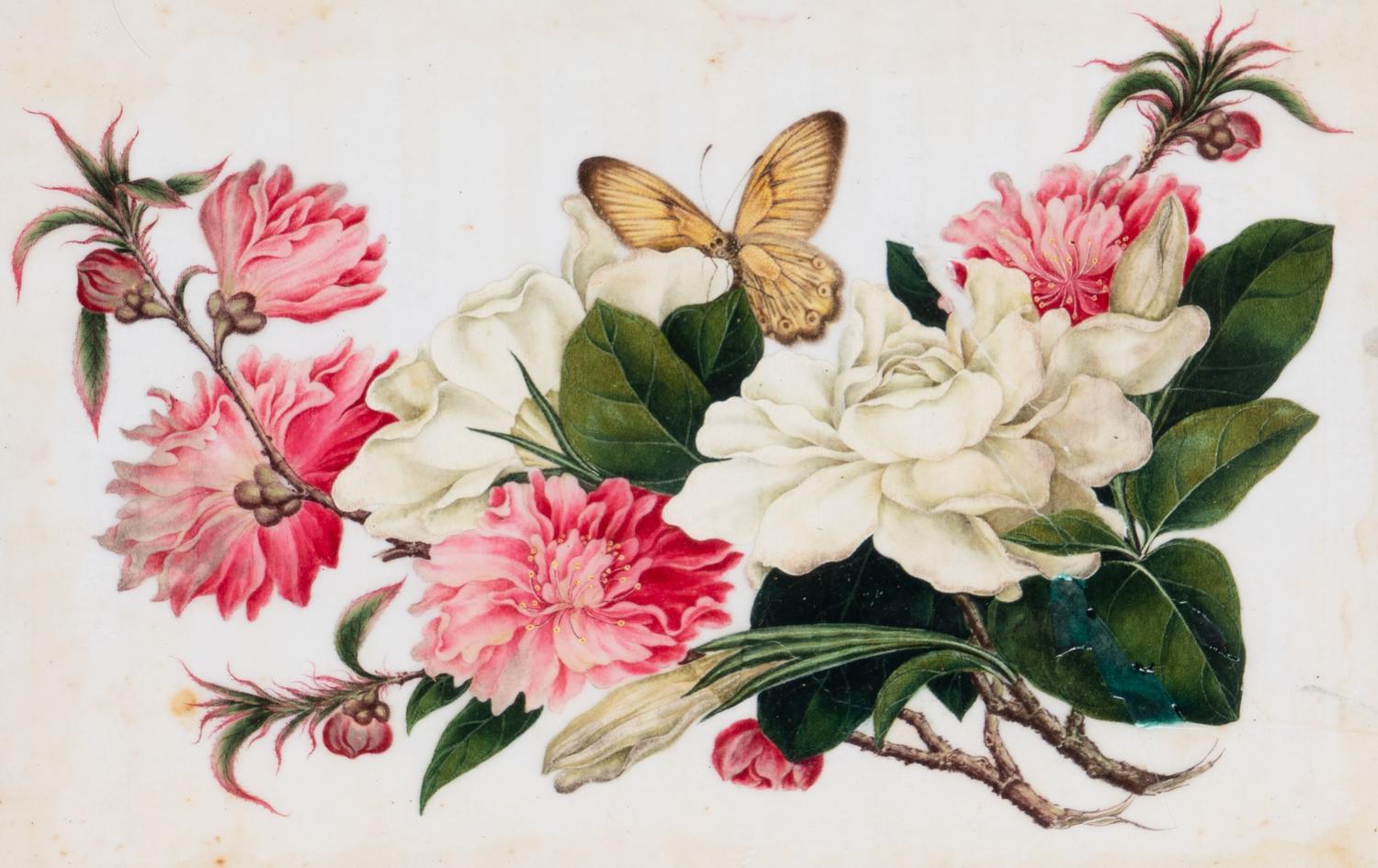 A Set of Twelve Chinese Export Watercolor and Pith Botanical Paintings