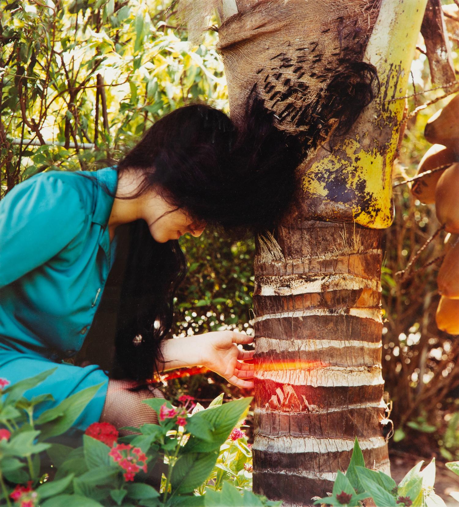 Black Hair Sewn into Coconut Palm #1, 1997