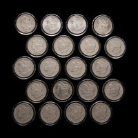 A Group of Twenty Carson City Mint Morgan $1 Coins