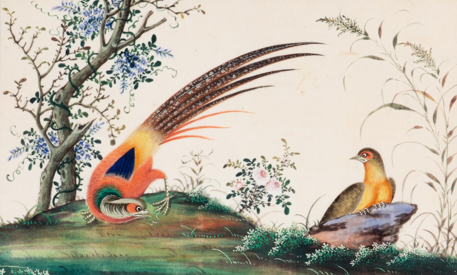 A Set of Twelve Chinese Export Watercolor and Pith Paintings of Exotic Birds