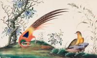 A Set of Twelve Chinese Export Watercolor and Pith Paintings of Exotic Birds