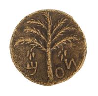 Judaea (circa 132-135 CE), Bronze Unit — Bronze Unit