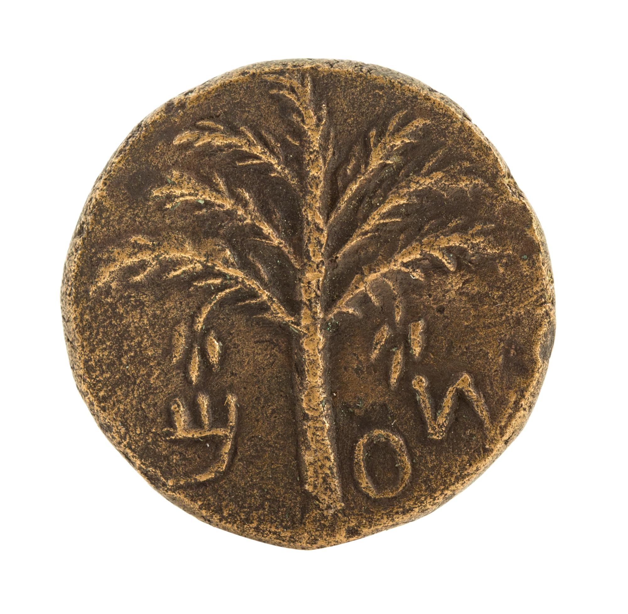 Judaea (circa 132-135 CE), Bronze Unit — Bronze Unit