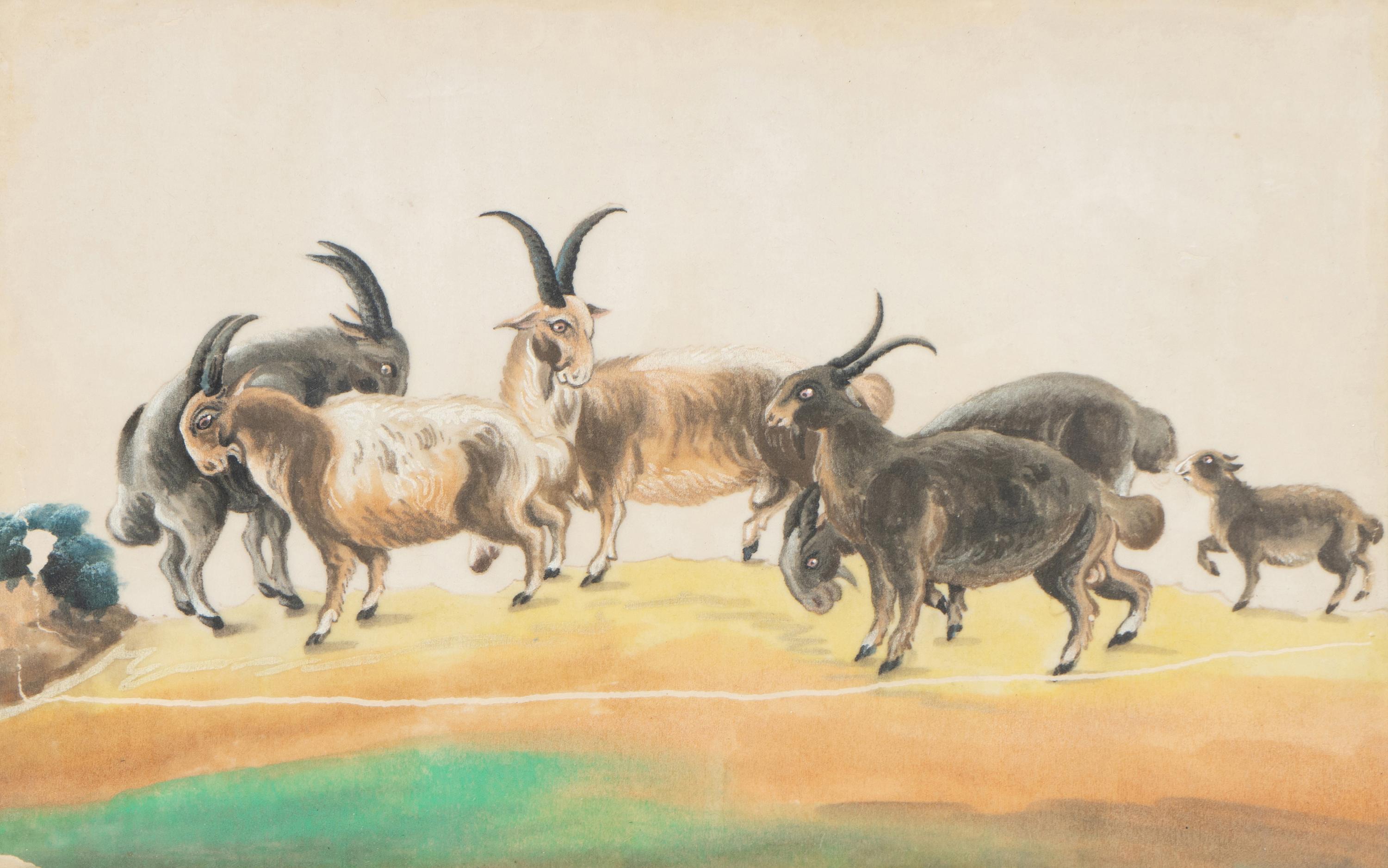 A Collection of Twelve Chinese Zoological Ink and Color Pith Paintings
