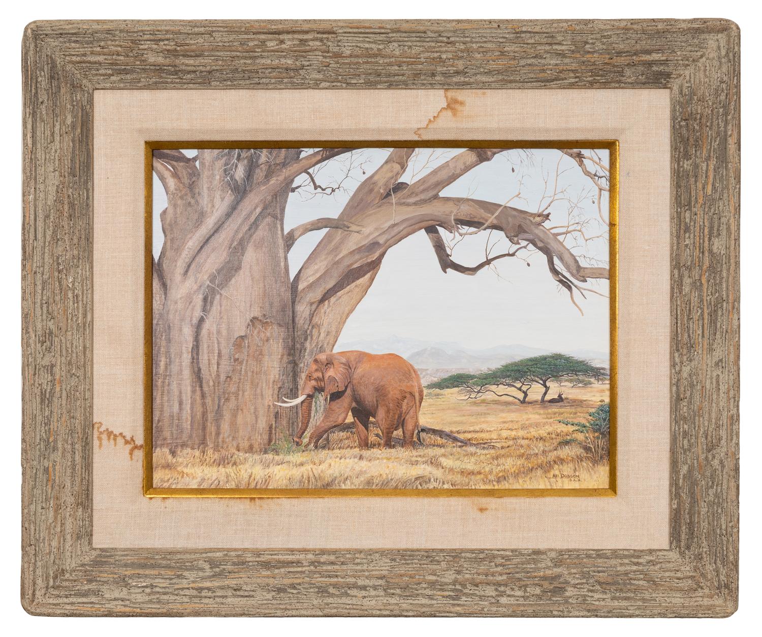 Elephant