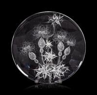 An Etched Glass Charger