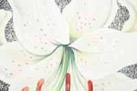 White Lily in Circle, 1982