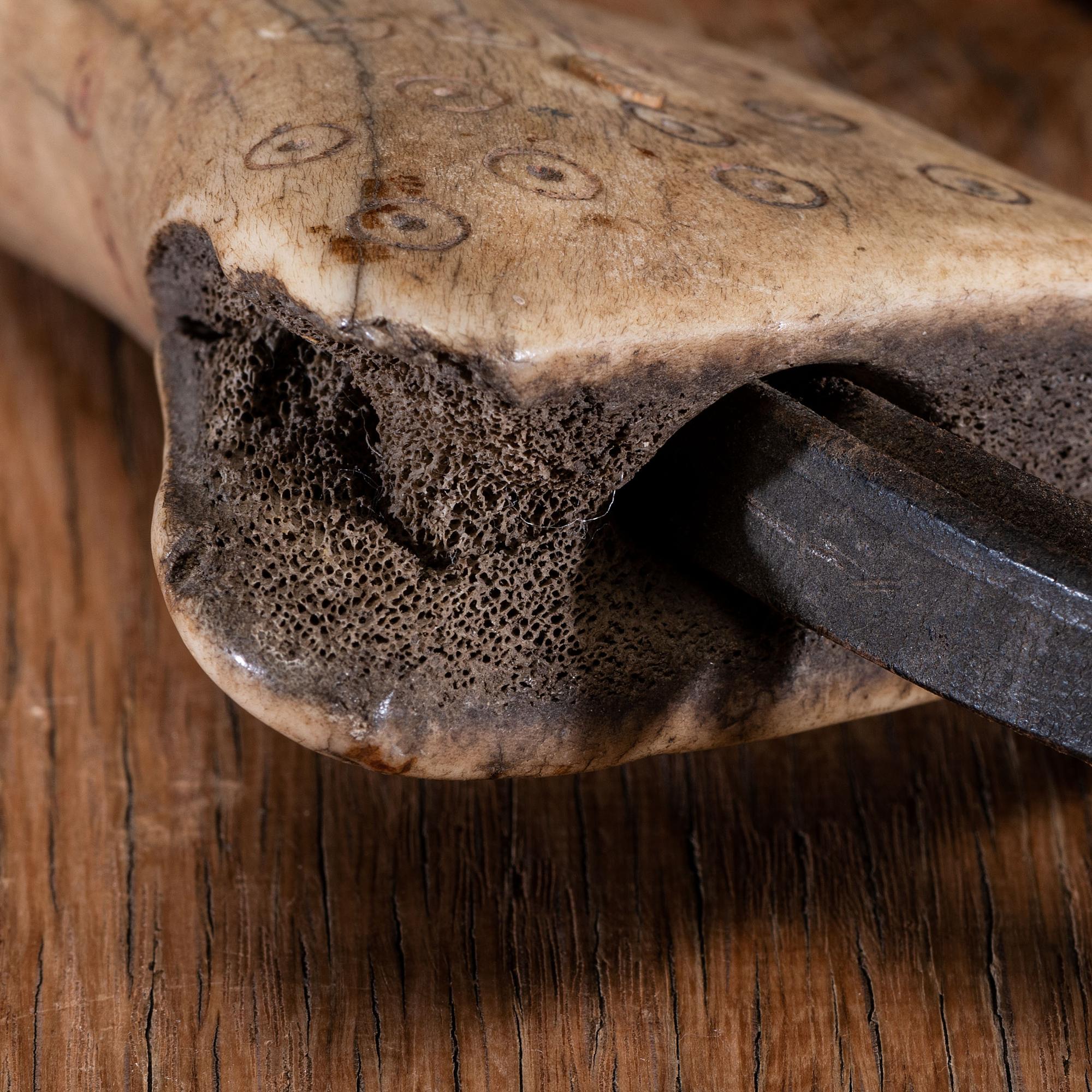 Northern Plains Elk Antler Quirt