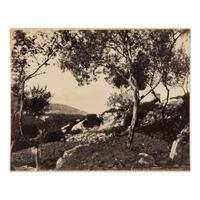 [Photography] Large group of early 20th century photographs of various sites related to the ancient and medieval world