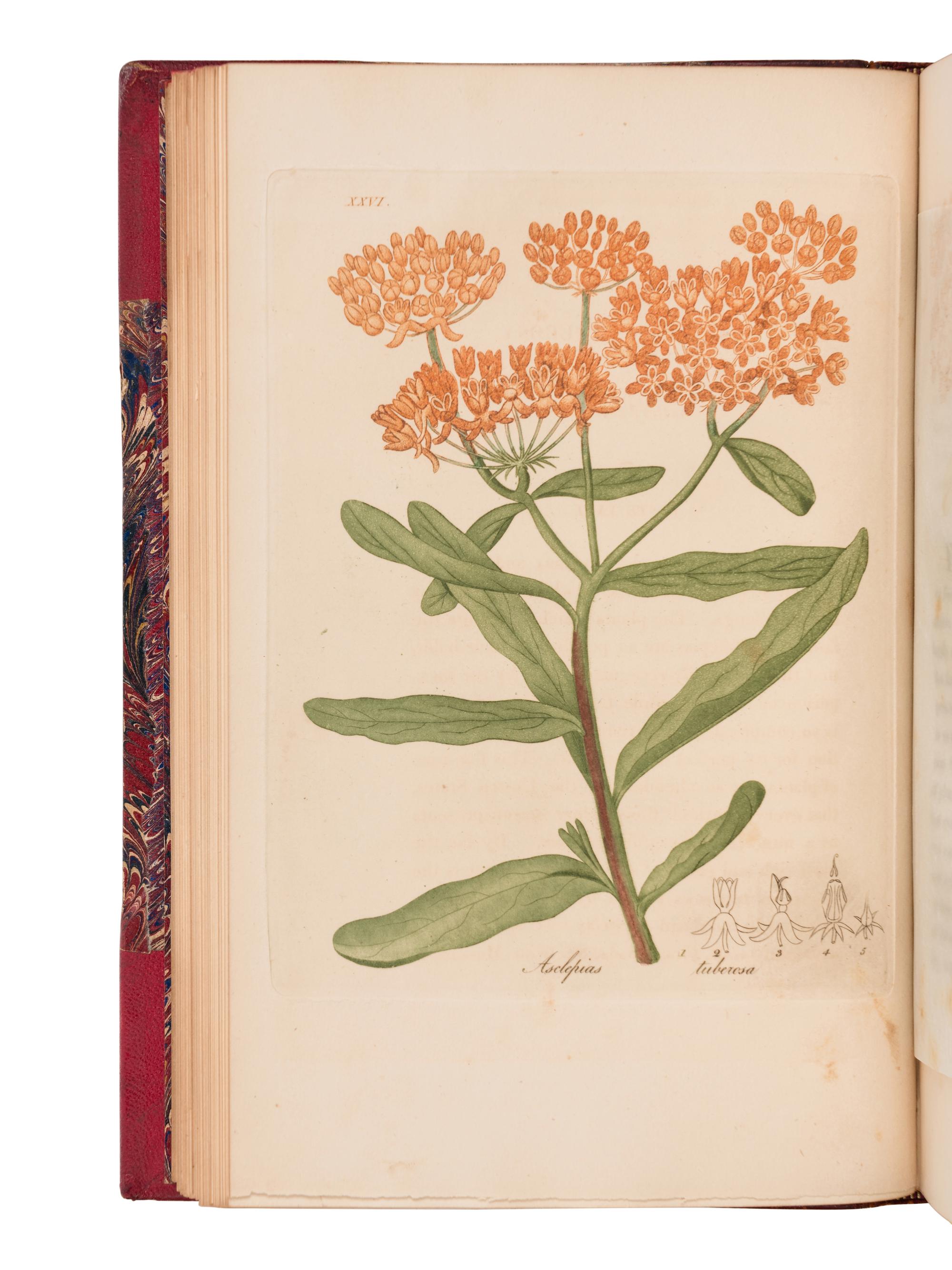 BIGELOW, Jacob (1787-1879). American Medical Botany, Being a Collection of the Native Medical Plants of the United States. Boston: Cummings & Hilliard, 1817-1820.