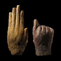 Two Egyptian Wood Hands