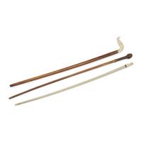 A Group of Three Walking Sticks