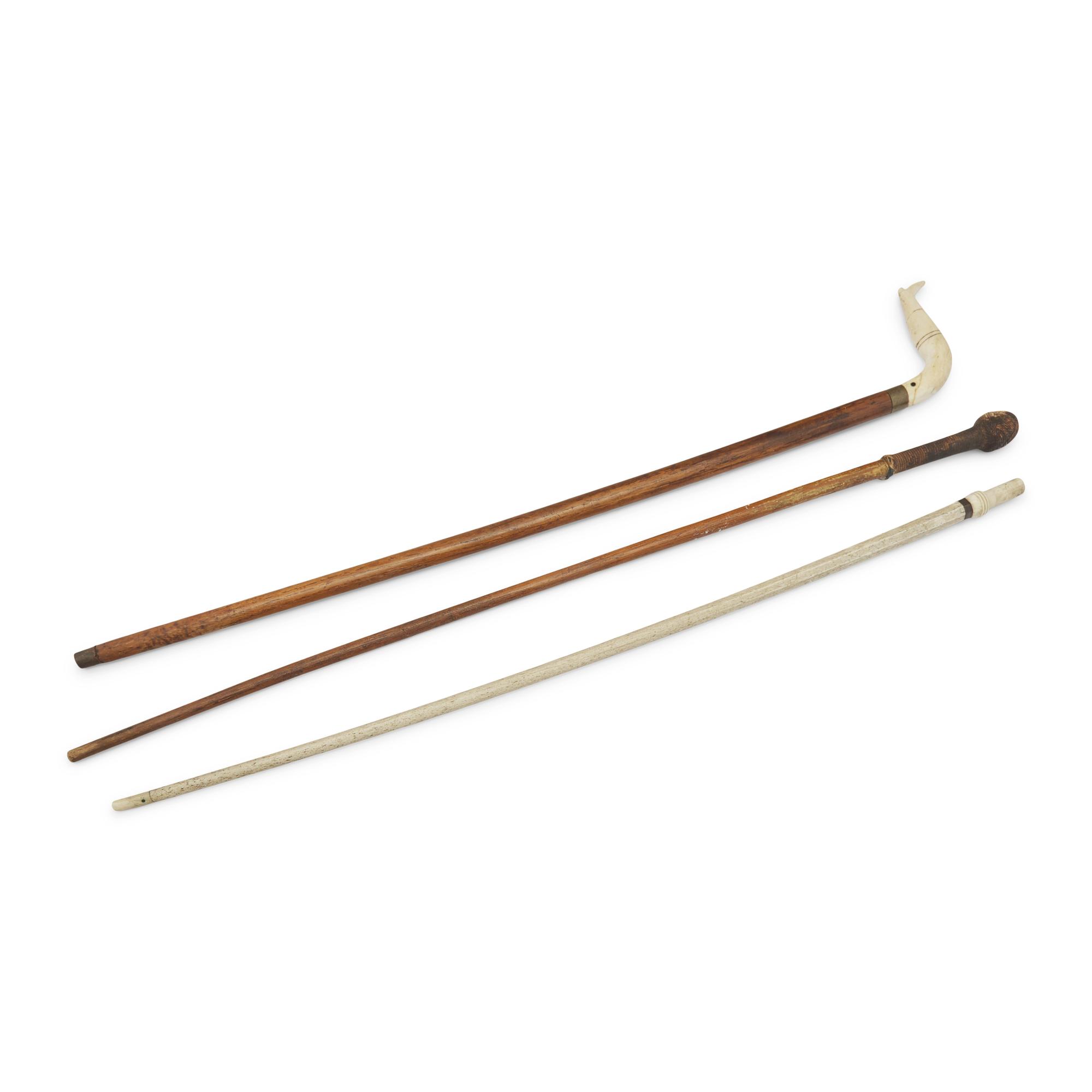 A Group of Three Walking Sticks