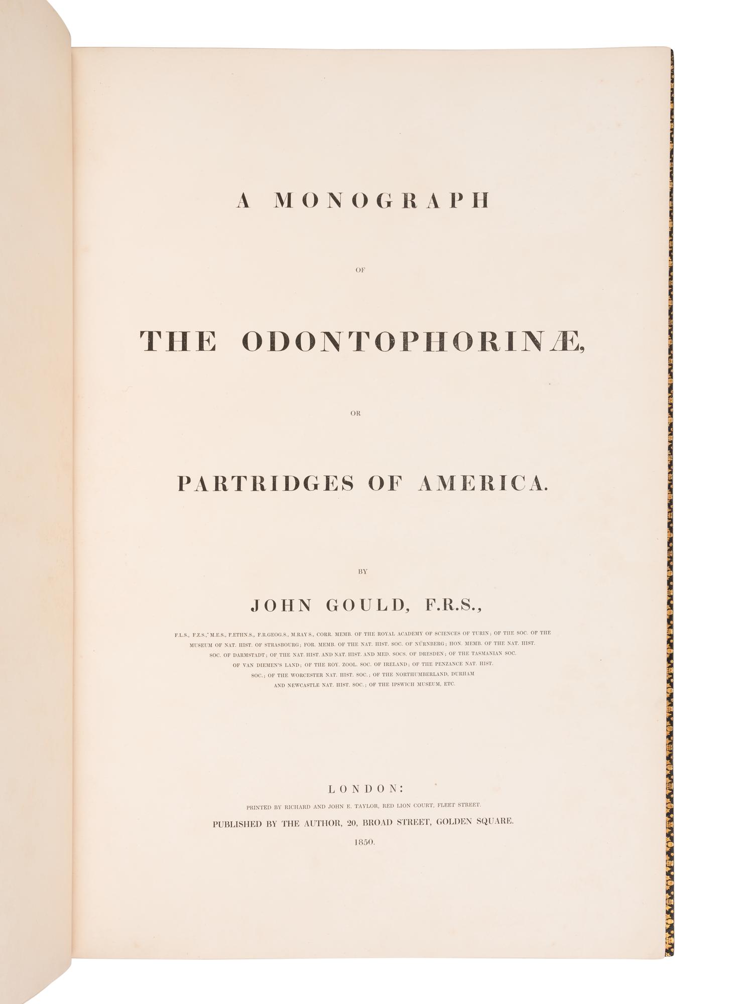 [NATURAL HISTORY]. GOULD, John (1804-1881). A Monograph of the Odontophorinae, or Partridges of America . London: Richard and John E. Taylor for the Author, [1844]-1850.