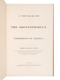 [NATURAL HISTORY]. GOULD, John (1804-1881). A Monograph of the Odontophorinae, or Partridges of America . London: Richard and John E. Taylor for the Author, [1844]-1850.