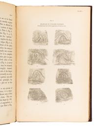 GALTON, Francis, Sir (1822-1911). Finger Prints. London and New York: Macmillan and Co., 1892.