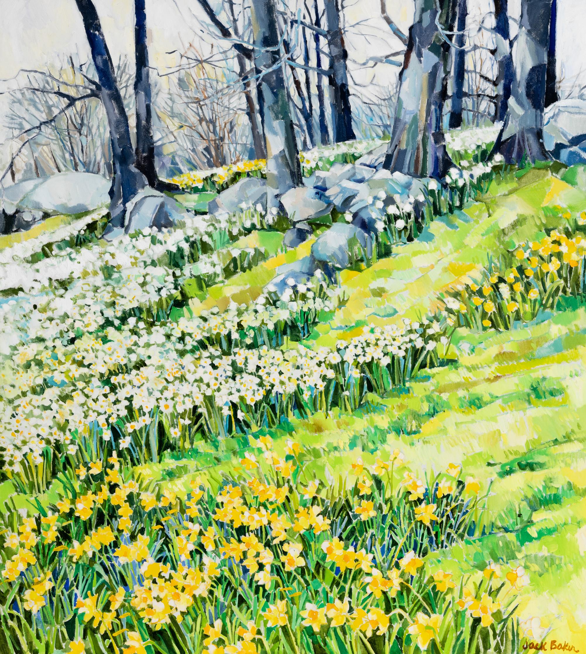 Jack Baker (American, 1925-2011) — Narcissus & Daffodils , 1976