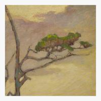 Calthea Campbell Vivian (American, 1857-1943) Cypresses, Pacific Grove, California (Three-Panel Screen)