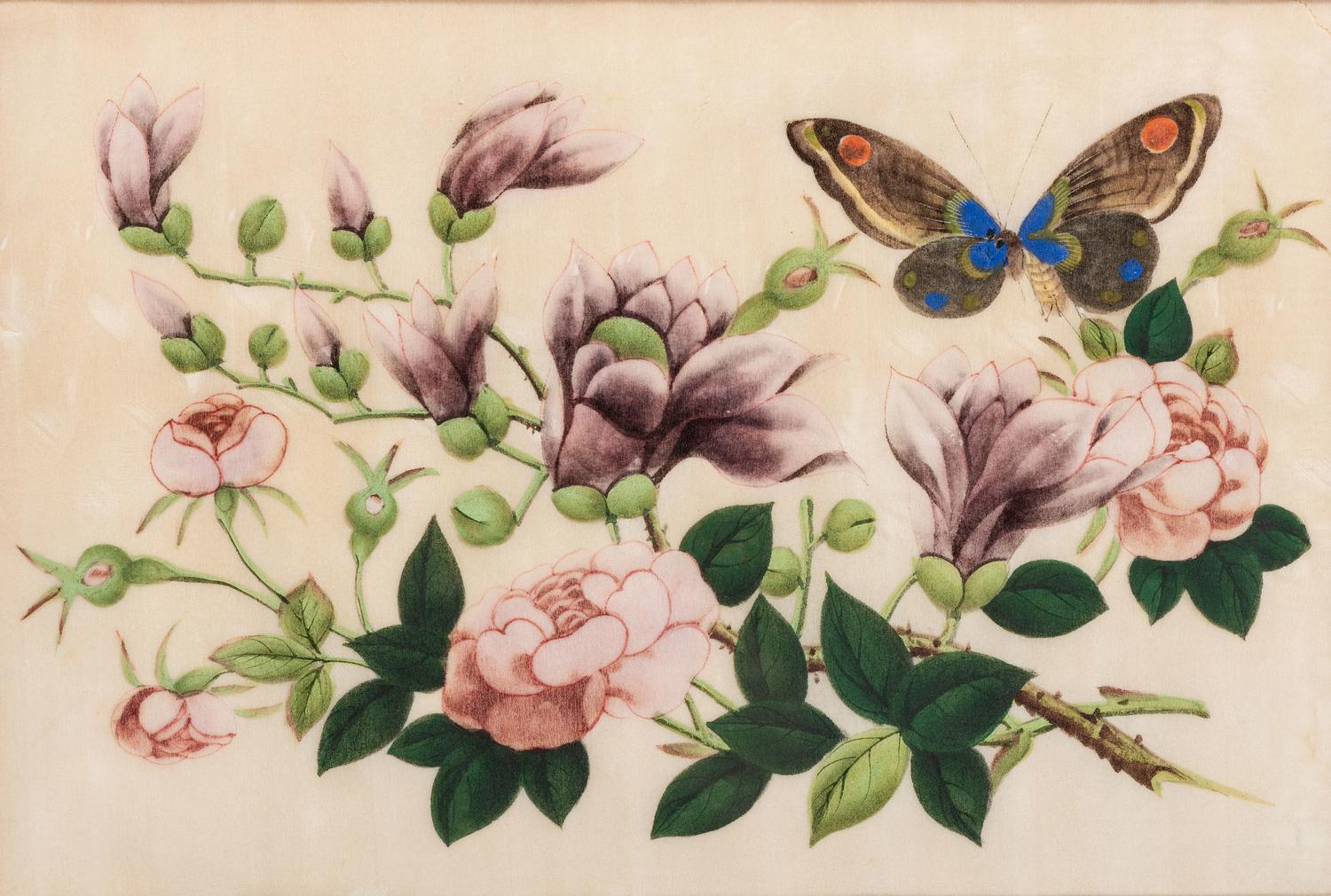 Three Chinese Pith Paintings of Butterflies and Flowers