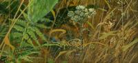 Meadow Dancing, 2000