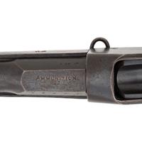 British Martini-Henry No.IV Mk.I Rifle Converted to .22LR