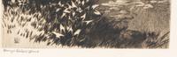 Willows
