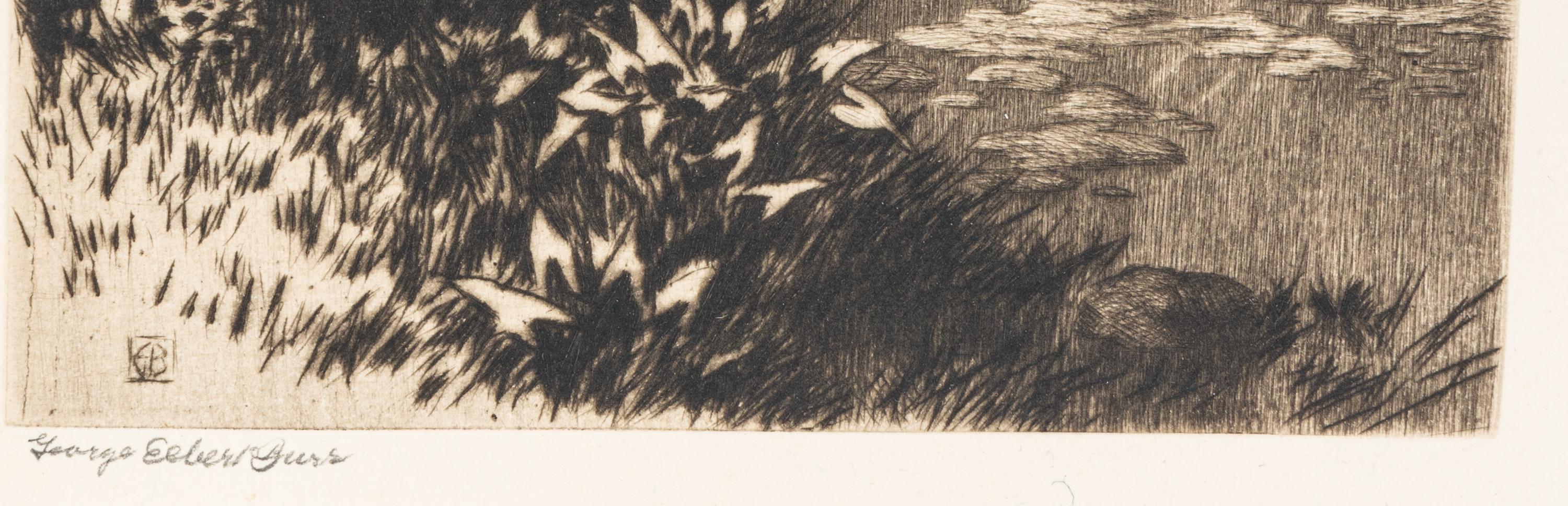 Willows