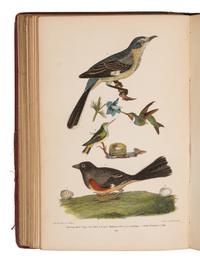 [Natural History] Wilson, Alexander and Charles Lucien Bonaparte. American Ornithology; or, The Natural History of the Birds of the United States