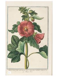 Giorgio Bonelli (Italian, 1724-1782)