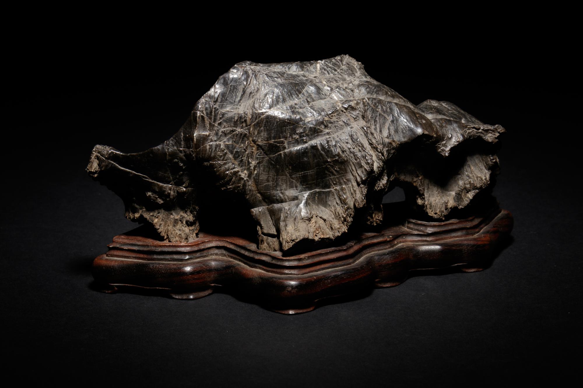 A Petrified Wood Scholar's Rock