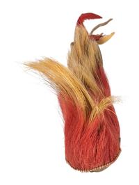 Plains Hair Roach