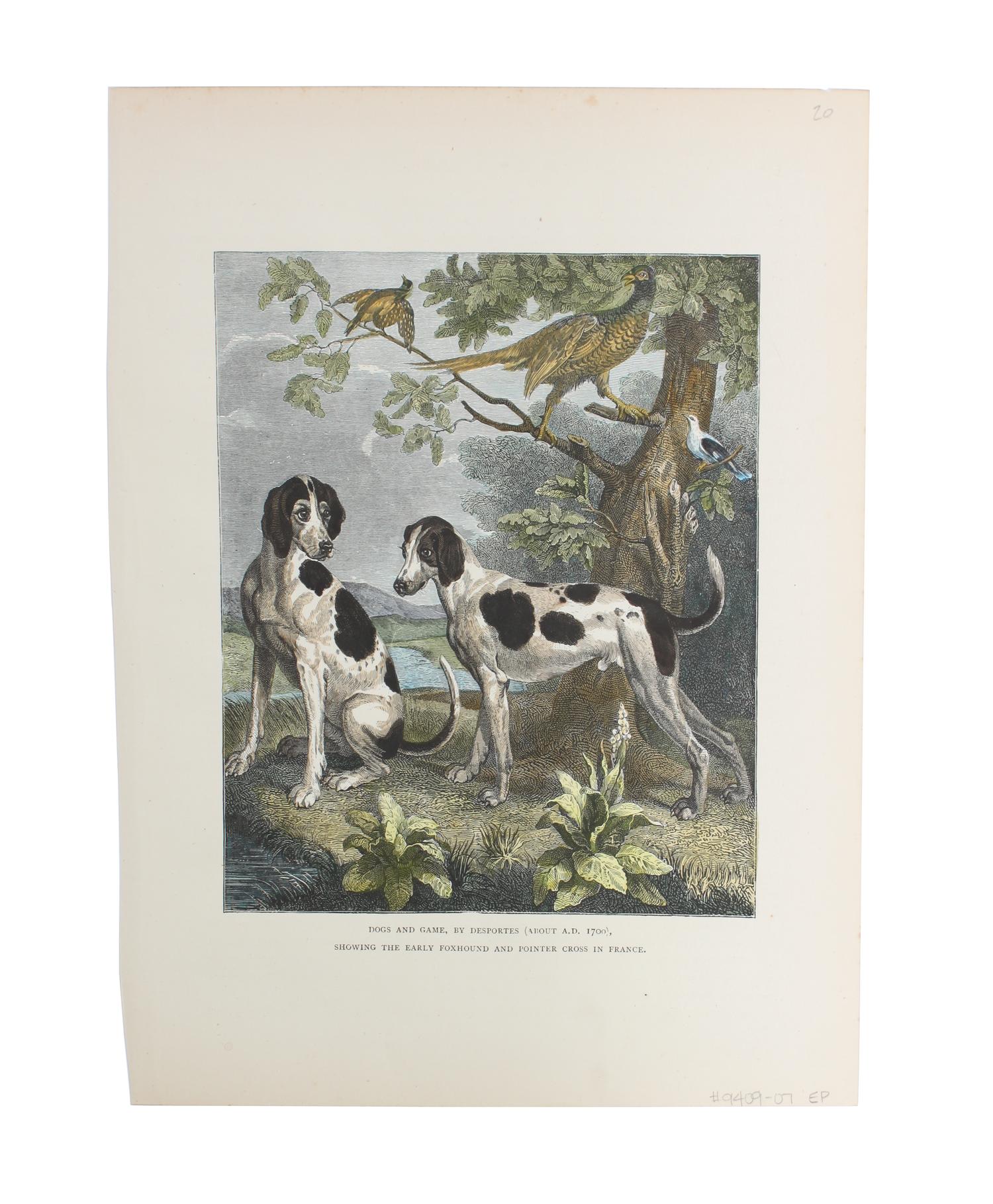 Eleven Hand Colored Dog Prints Height 71/2 x 9 inches — 19TH/20TH CENTURY