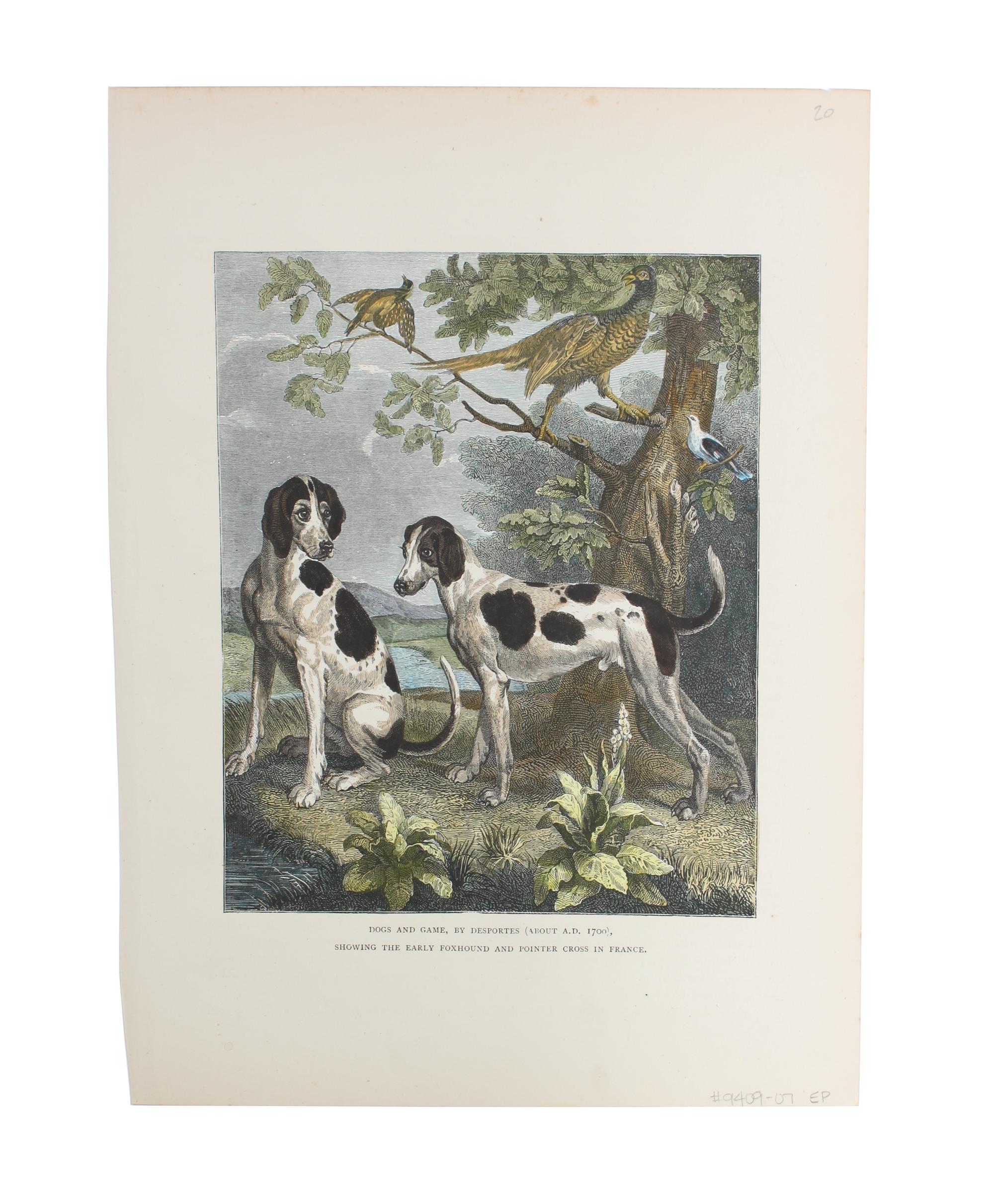 Eleven Hand Colored Dog Prints Height 71/2 x 9 inches — 19TH/20TH CENTURY