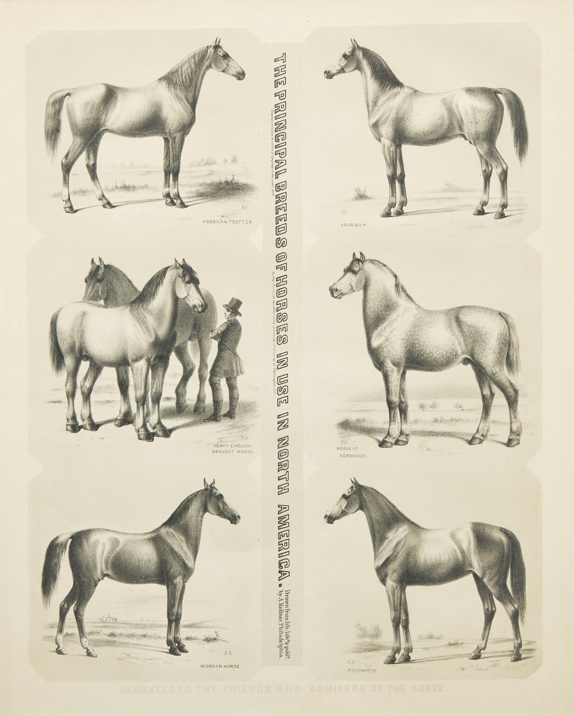Augustus Kollner (1812-1906), The Principal Breeds of Horses in Use in North America