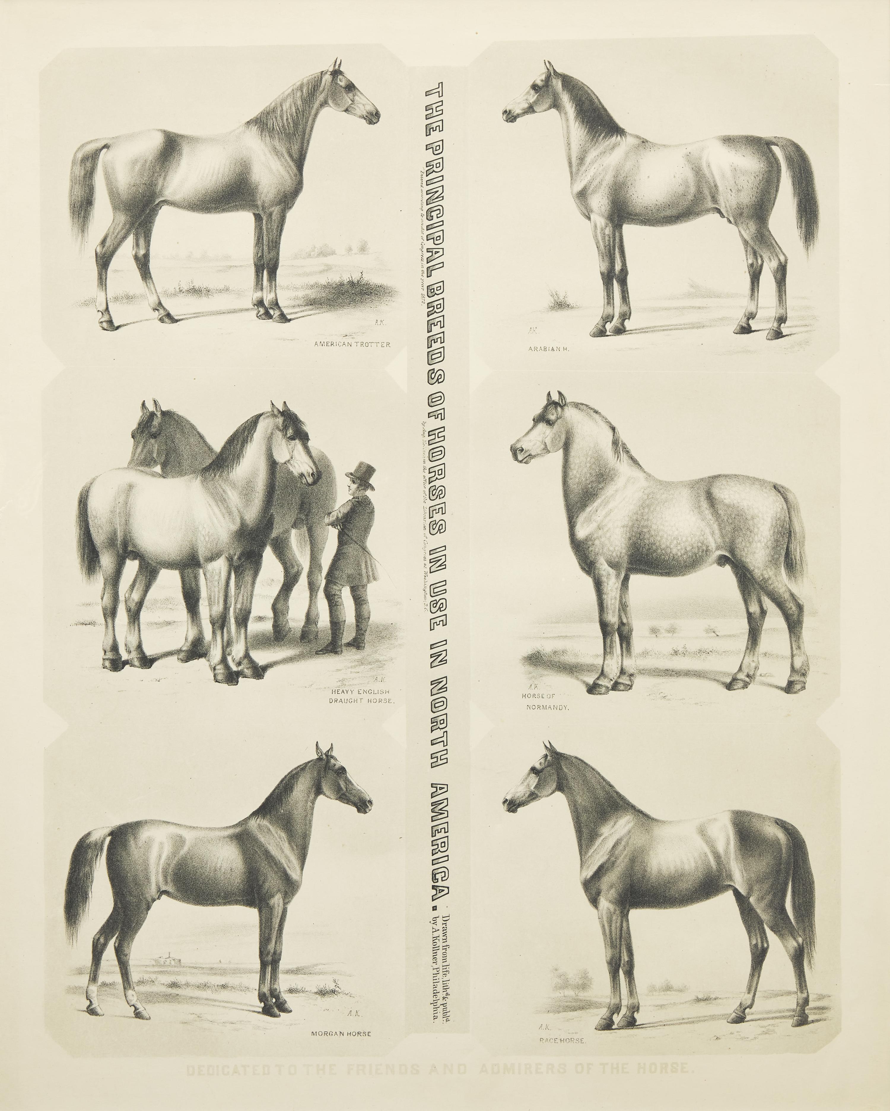 Augustus Kollner (1812-1906), The Principal Breeds of Horses in Use in North America