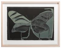 Night Butterfly , 36/50